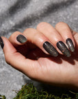 Thumbnail Nocturno image 1 of 7