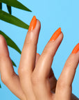 Supreme Orange