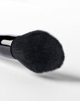 Blush Brush