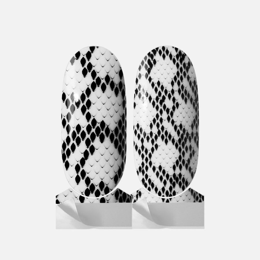 Heads or Scales