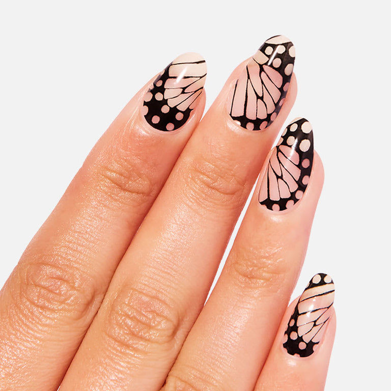 Majestic Monarch – Color Street