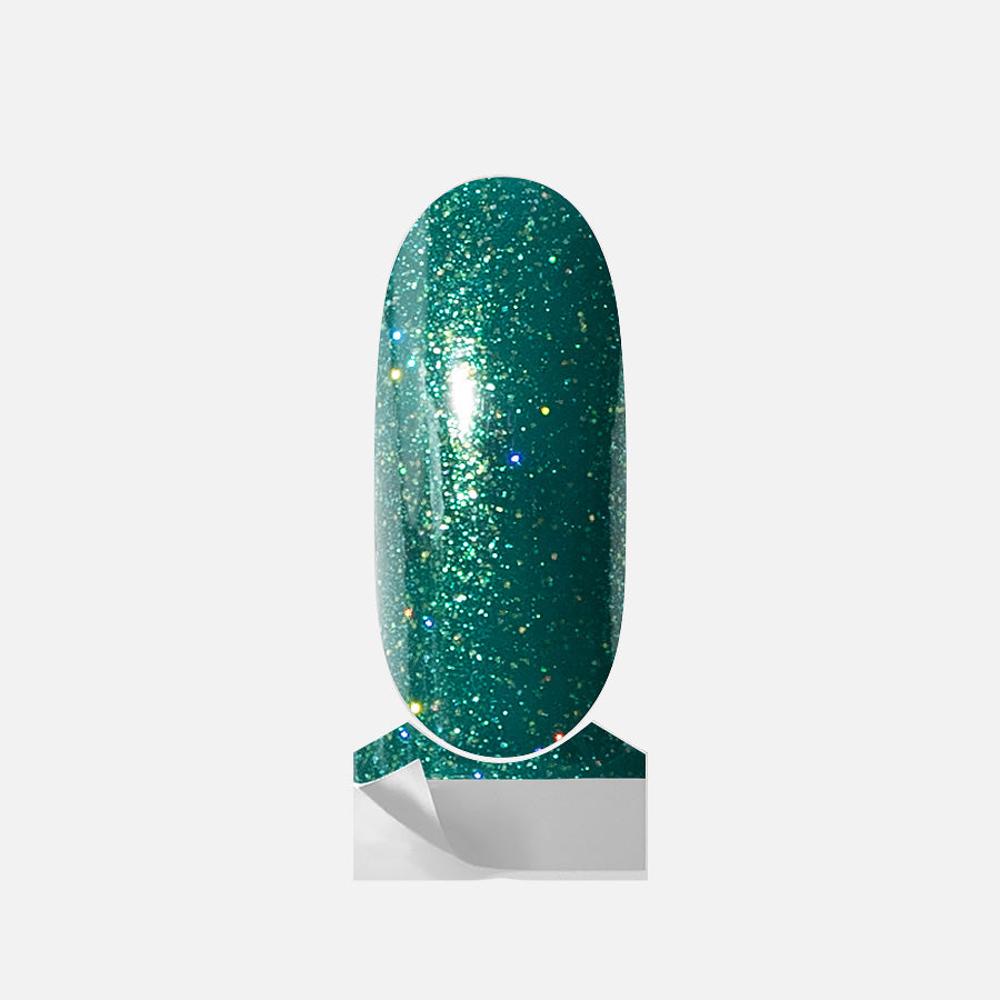 Fir Evergreen