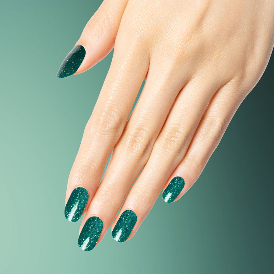 Fir Evergreen