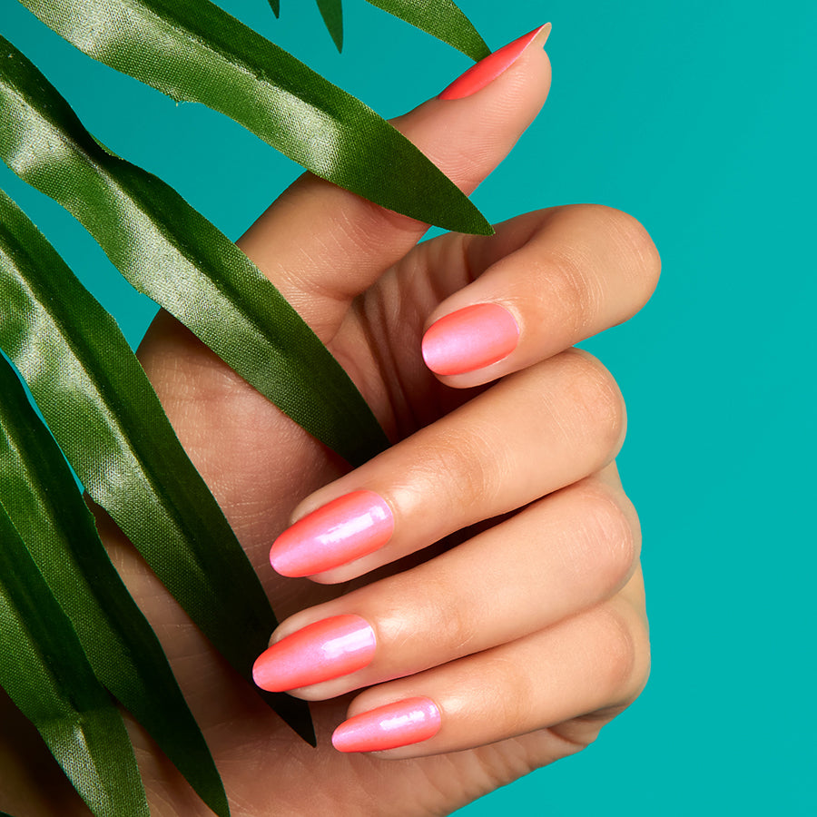 Shocking Pink