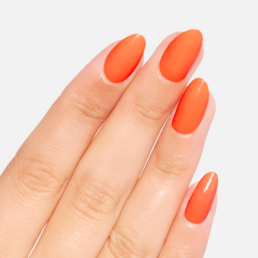 Supreme Orange