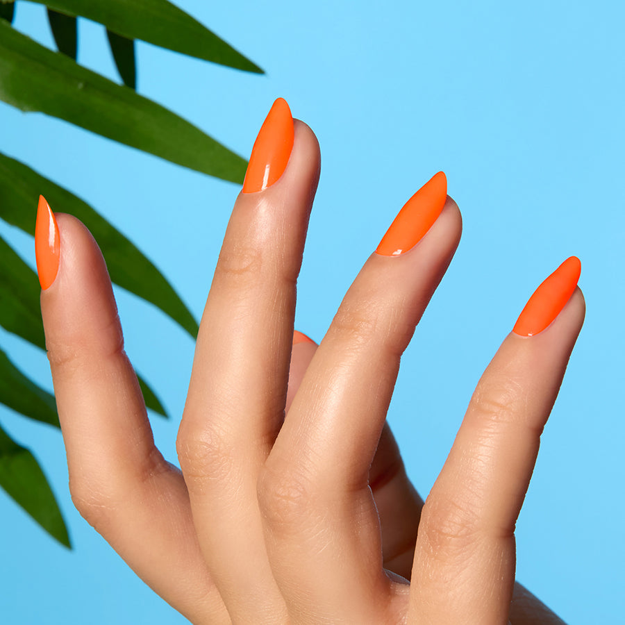 Supreme Orange